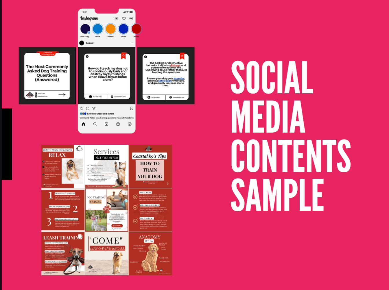 Instagram feed social media management portfolio preview